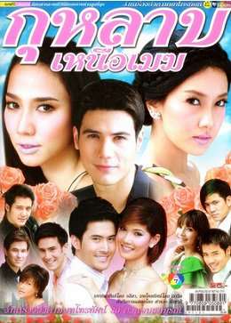 《云中玫瑰/云上的玫瑰》